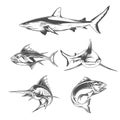 Fish icons