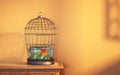 Fish inside a birdcage. Mindset change and escape concept Royalty Free Stock Photo