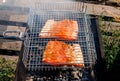 Fish kebabs from salmon grilling at nature Royalty Free Stock Photo