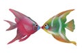Fish Kiss Royalty Free Stock Photo