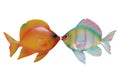 Fish Kiss Royalty Free Stock Photo