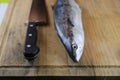 Fish beside knife on cutting board Royalty Free Stock Photo