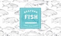 Fish label with seamless pattern Royalty Free Stock Photo