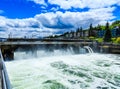 Fish Ladder at Ballard Locks Royalty Free Stock Photo