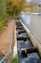 Fish ladder for migratory trout