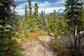 Fish Lake Trail Hike, Whitehorse, Yukon Fall Scenery