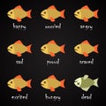 Fish language alphabet - how to understand your fish?