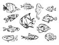 Fish line art illustration set, black outline illustration isolated on white background Royalty Free Stock Photo