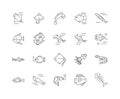 Fish line icons, signs, vector set, outline illustration concept