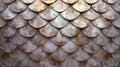 Fish, lizard or snake scale textured background. Reptile skin. Concepts of fantasy textures, patterns, abstract design Royalty Free Stock Photo