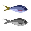 Fish logo. Sea and ocean fish icon.