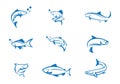 Fish Logo Template