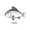 Fish logo vector grey illustration isolated. Black icon.