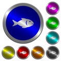 Fish luminous coin-like round color buttons