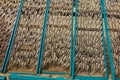 Fish lying on nets, dried in the sun, on the beach in Nazare, Po