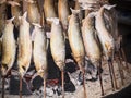 Fish mackerel Shioyaki burned with salt sale Royalty Free Stock Photo