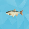 Fish made with triangles on polygonal background Royalty Free Stock Photo