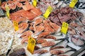 Fish Market Royalty Free Stock Photo
