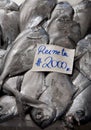 Fish market Royalty Free Stock Photo
