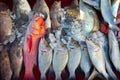Fish on market counter