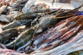 Fish market counter - fresh octopus, langoustine and other seafood. Royalty Free Stock Photo