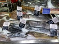 Fish Market Display at Wegmans Grocery Store in Washington DC