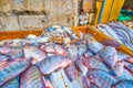 The fresh fish in Cairo`s market, Egypt Royalty Free Stock Photo