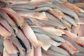 Fish Market - filleted fish