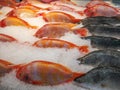 Fish market, Food