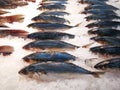 Fish market, Food