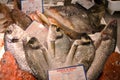 Fish market with fresh various fishes