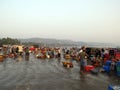 Fish Market in India