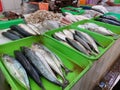 Fresh fish capture at traditional food market Royalty Free Stock Photo