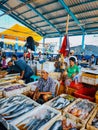 Fish market at Muara Angke, North of Jakarta Royalty Free Stock Photo