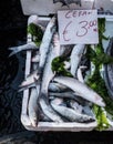 Fish market in Naples Royalty Free Stock Photo