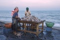 Fish market in Negombo Royalty Free Stock Photo