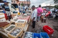 Fish market. Negombo, Sri Lanka Royalty Free Stock Photo