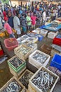 View over the fish market in Negombo, Sri Lanka Royalty Free Stock Photo