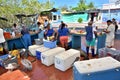 Fish Market in Puerto Ayora, Galapagos Royalty Free Stock Photo