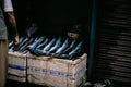 Fish Market Street photography