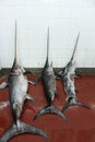 Fish market: swordfish