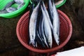 Fish Market at taiwan Royalty Free Stock Photo