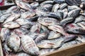 Fish market in Thailand, dead Nile Tilapia Fish for sale at the outdoor market