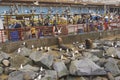 Fish Market in Valparaiso, Chile