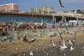 Fish Market in Valparaiso, Chile