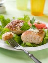 Fish or meat rissole Royalty Free Stock Photo