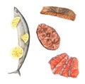 Fish meat set. Hand painted watercolor elements for your design.