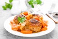 Fish meatballs or noisettes baked with carrot, onion and tomato sauce. Fish meatballs on plate