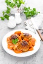 Fish meatballs or noisettes baked with carrot, onion and tomato sauce. Fish meatballs on plate