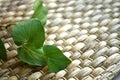 Fish mint Houttuynia cordata leaves isolated on rattan mat. Royalty Free Stock Photo